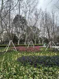 尋找春天的色彩，就來徐家匯公園吧