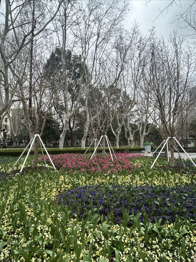 尋找春天的色彩，就來徐家匯公園吧