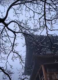 徑山寺