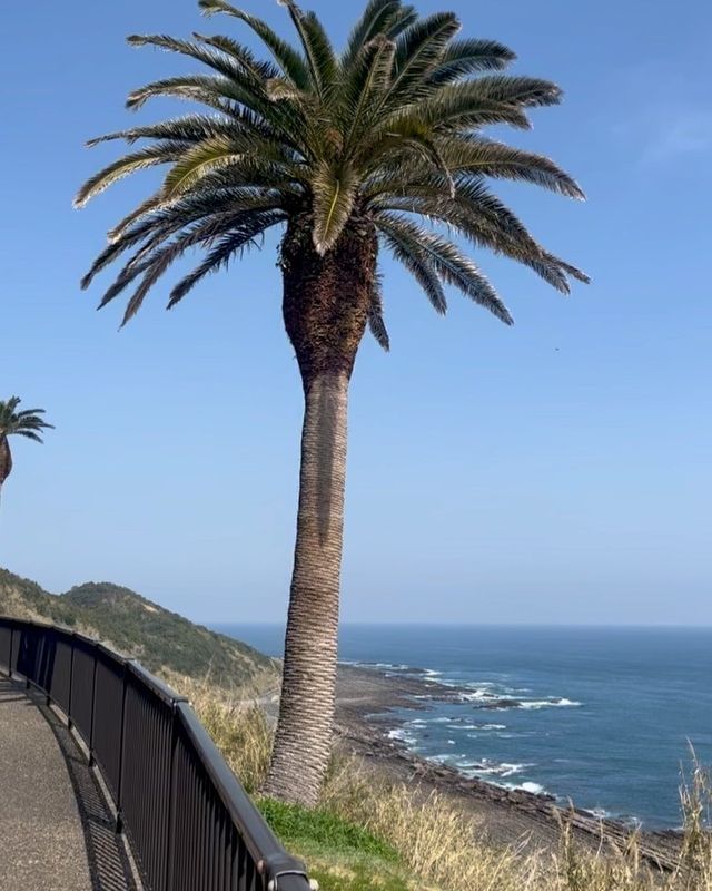 日本·宮崎 | 堀切峠—衝浪者的天堂，眺望無敵海景！