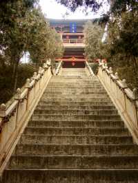 蒲州有國寶鐵牛、故城遺址、普救寺、鸛雀樓