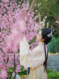 紹興新昌，跟住《九重紫》女主打卡