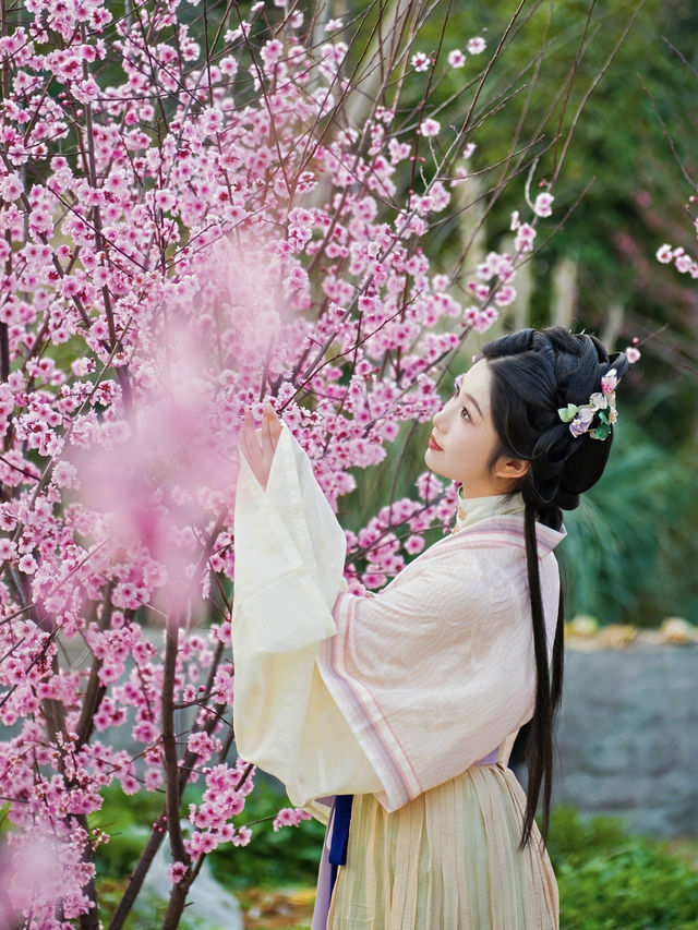 紹興新昌，跟住《九重紫》女主打卡