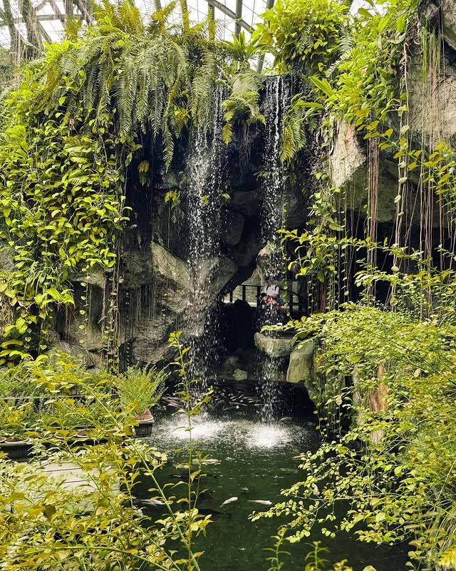 檳城蝴蝶公園—夢幻蝴蝶王國