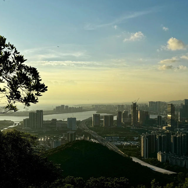 深圳南山公園的夜景太驚艷了！