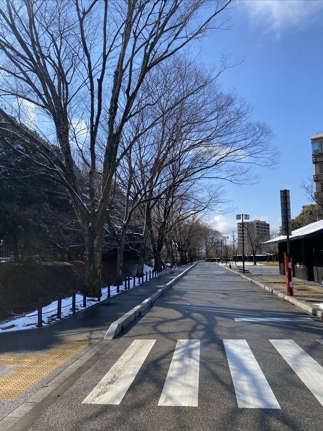 大雪紛飛金華山
