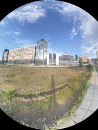 清明踏春蒙古行 草原美景等你探