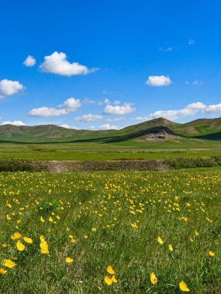 3-Day, 2-Night Xilingol League-Tongliao Travel Guide (Must-read)