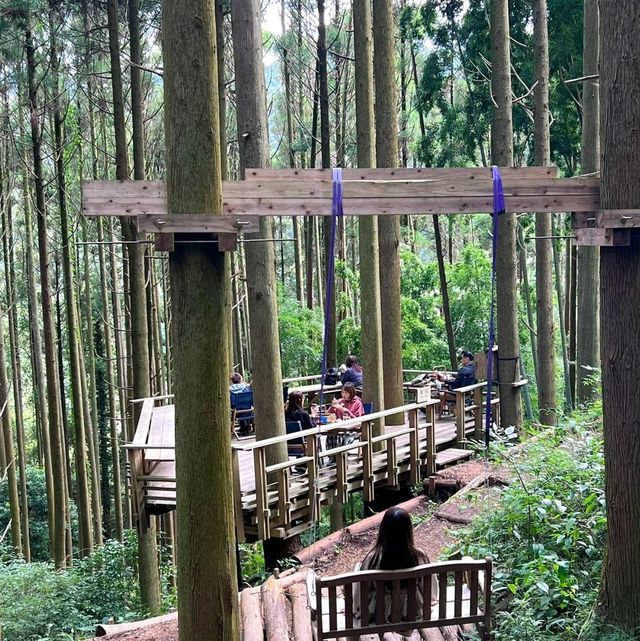 🇯🇵｜福岡❶小眾秘境㊙️隱藏在深山裡的森林☕️