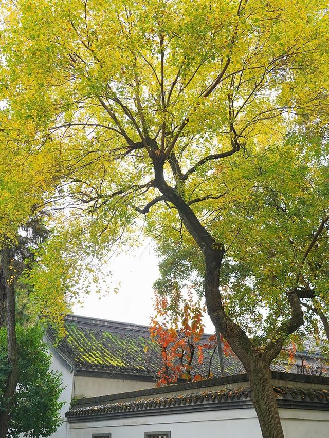 南京3日老友遊 景點全攻略 玩得盡興