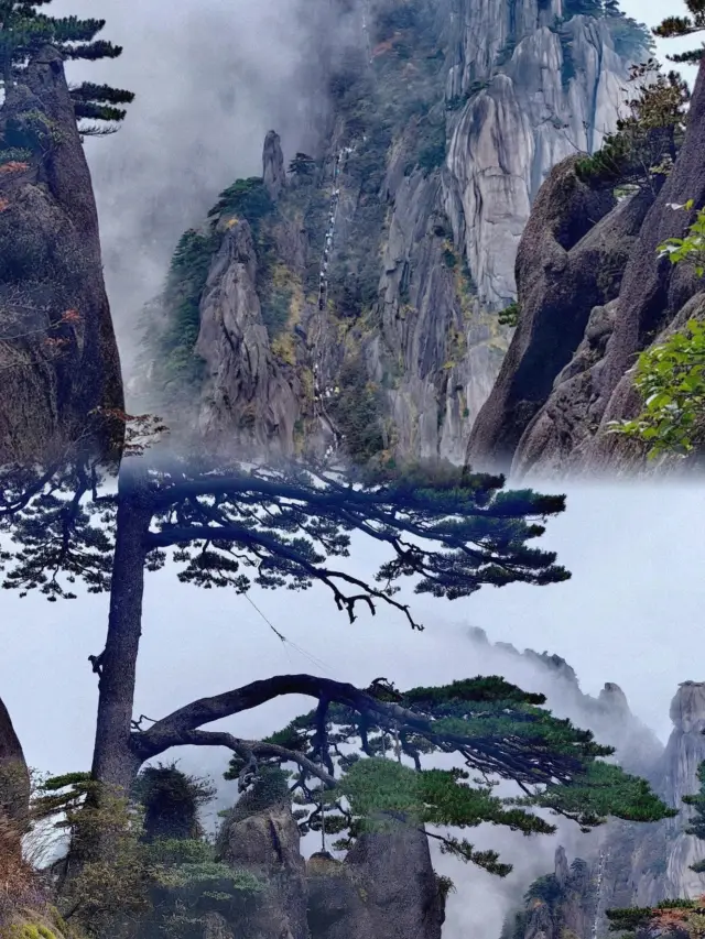 Don't climb Lushan Mountain from March to May! A local friend told me the truth!