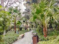 嚟成都必去人民公園，解鎖最巴適嘅市井煙火氣