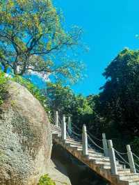 深圳陽臺山森林公園 | 城市中的自然寶藏