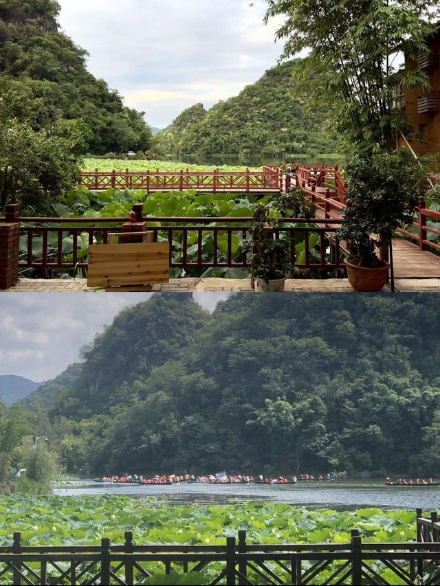 雙仙民宿，心動的慢生活秘境