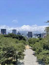 四季流轉，靜觀城市之巔——西公園與大濠公園