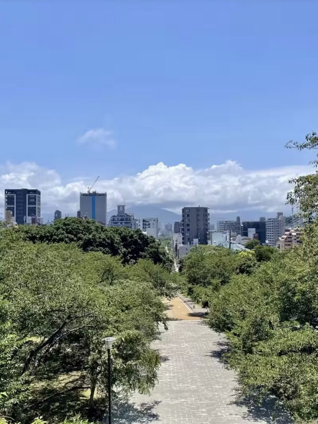 四季流轉，靜觀城市之巔——西公園與大濠公園