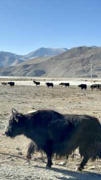 木吉鄉喀拉庫勒湖景區
