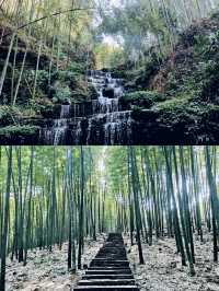 眾人皆赴海  唯我獨向山