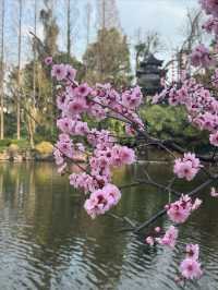 太倉南園