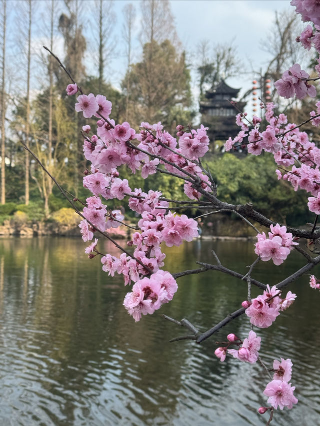 太倉南園