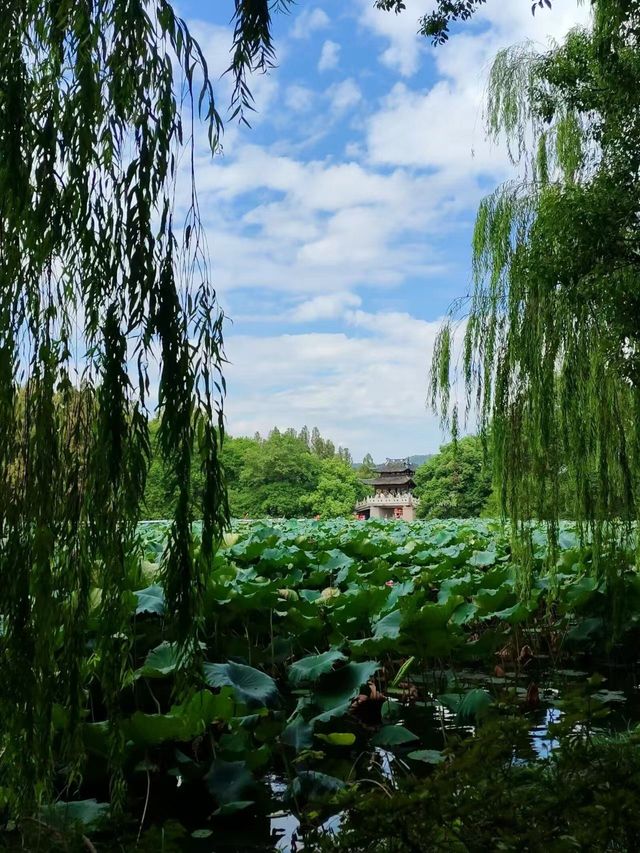 清明小長假 揚州等地旅遊攻略來啦別錯過