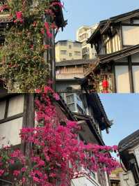 「人生是一萬次的春和景明」