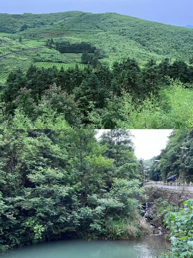 益陽雲台山風景區！