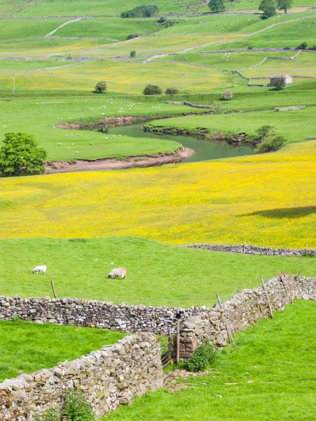Yorkshire Magic Tour: A Complete Guide to Medieval Fairytales