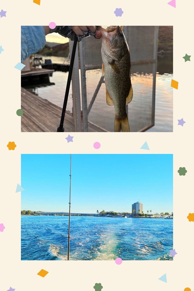 奔赴聖地牙哥：解鎖海釣盛宴，邂逅舌尖與視覺。