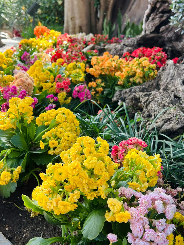 太原植物園｜週末好去處