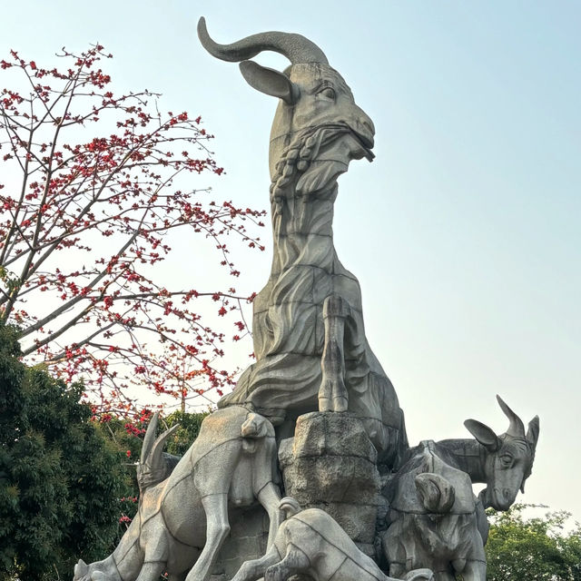 【越秀公園】木棉花開到燦爛‼️