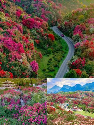 Bijie: A Treasure Trove for Travel in April and May - A Super Detailed Guide!