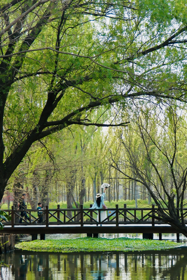週末去班味的（2/50）個城市泰州兩日遊