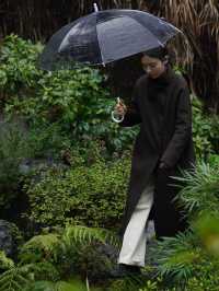 明月松間｜“一場春雨與落花的私奔”