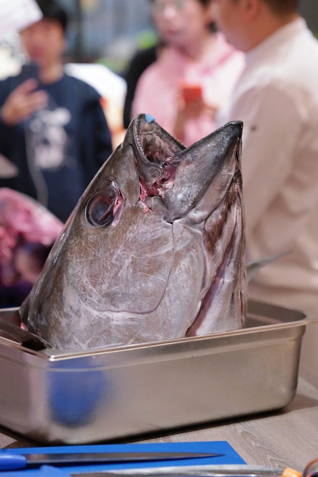 金槍魚開魚宴 | 一場味蕾與視覺的雙重盛宴