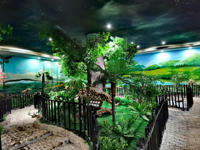 打卡莽山自然博物館