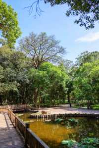 人少好拍在廣州我想去無數次的寶藏公園