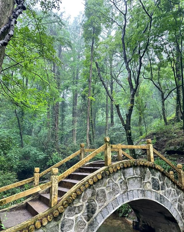 天然氧吧