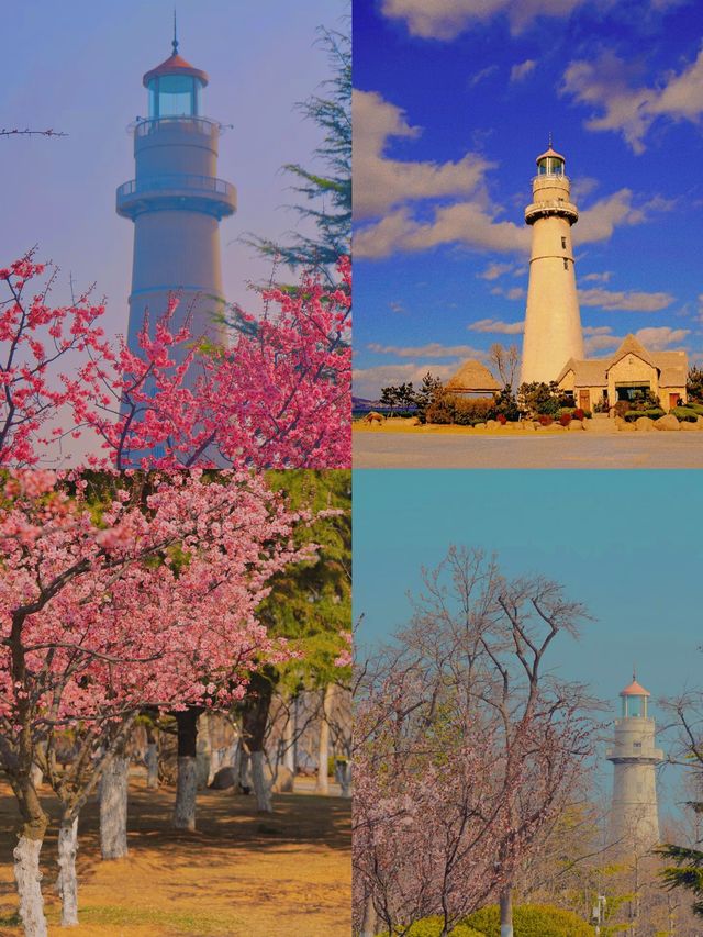 威海悅海公園五一攻略 