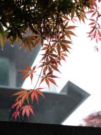 臨安潛川 | 雨天好適合躺在山裡