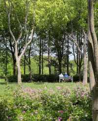 虎丘濕地公園