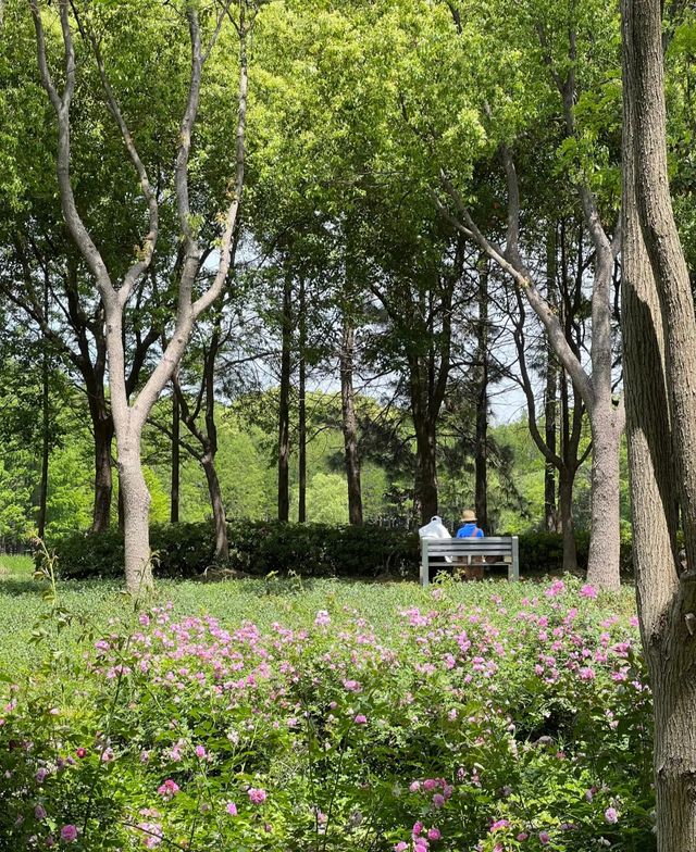 虎丘濕地公園