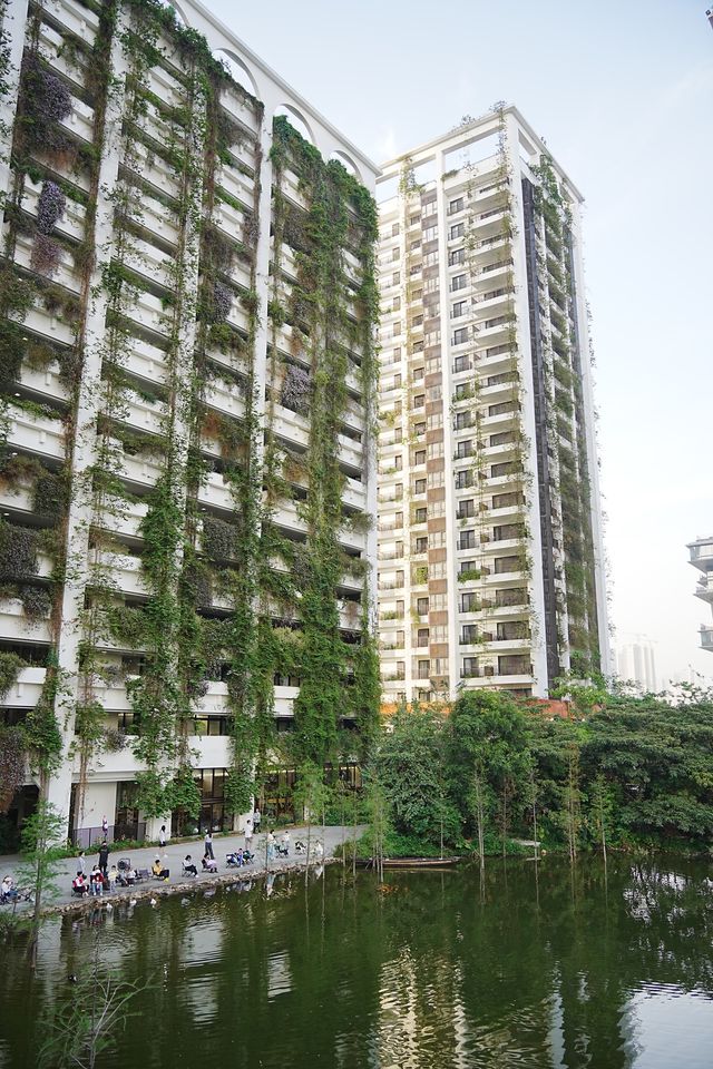 同我一齊住進深圳嘅桃花源