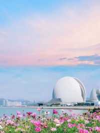 貝殼與海的私語：在日月貝邂逅珠海的浪漫