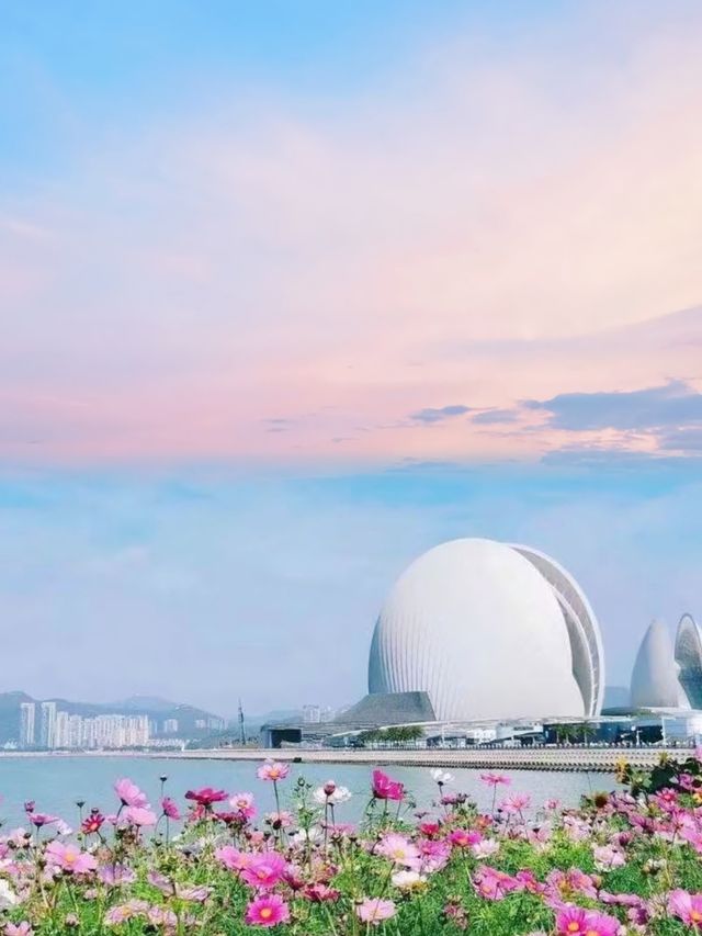貝殼與海的私語：在日月貝邂逅珠海的浪漫