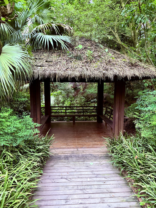 森林中的五星級酒店～青城山豪生大酒店