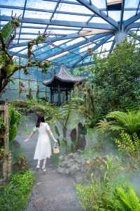 東莞如果只去一個地方，那一定是植物園！