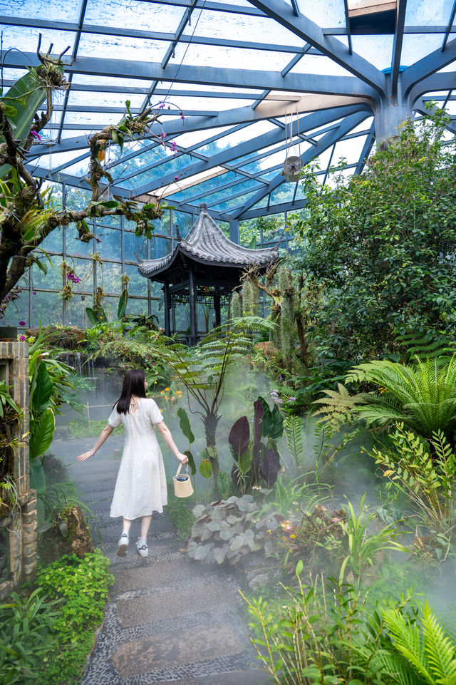 東莞如果只去一個地方，那一定是植物園！
