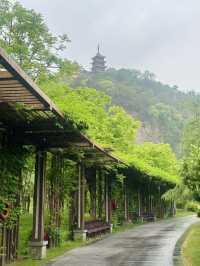 狼山遊記 曲徑通幽的山間路