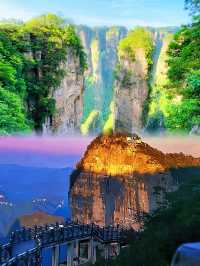 一個人去張家界！喺雲端遇到最治癒嘅風景